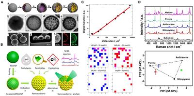 Recent Progress in Surface-Enhanced Raman Scattering for the Detection of Chemical Contaminants in Water